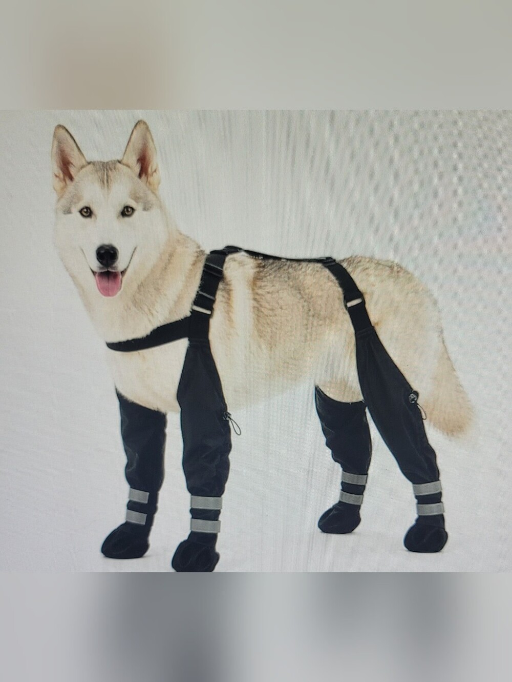 Nwt. Dog Shoes With Suspenders